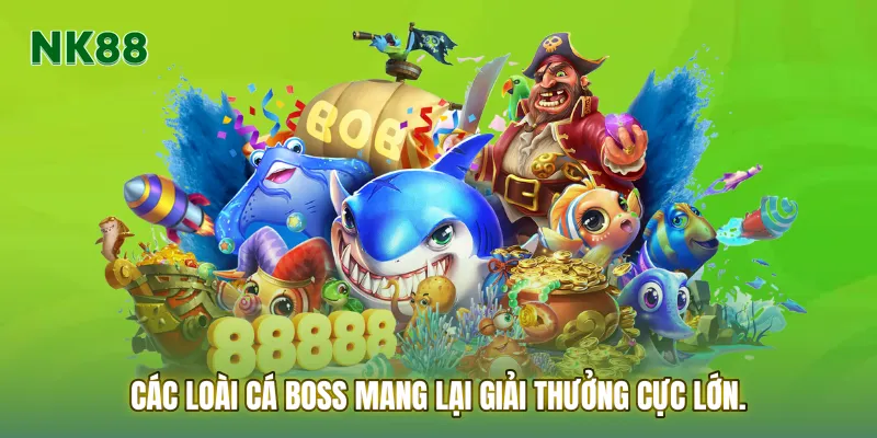 Các loài cá Boss mang lại giải thưởng cực lớn