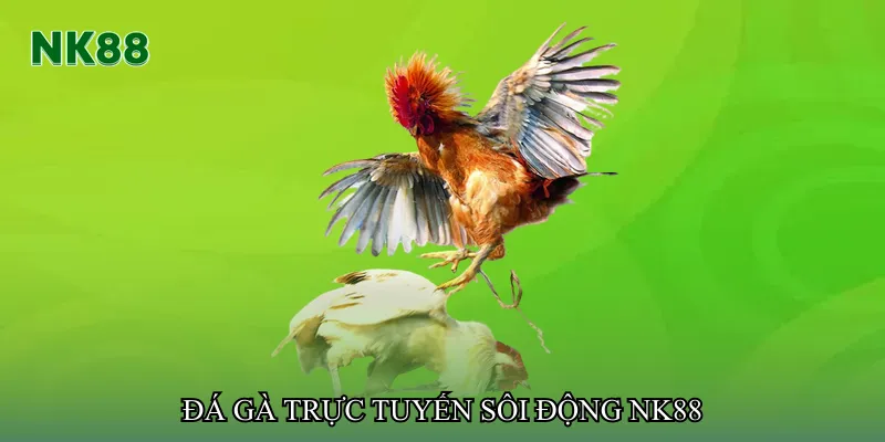 Đá gà trực tuyến sôi động NK88