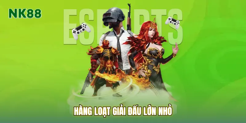 Hàng loạt giải đấu lớn nhỏ từ quốc tế đến khu vực đều quy tụ tại đây